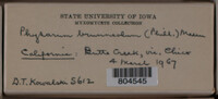 Image Associated With the Occurence